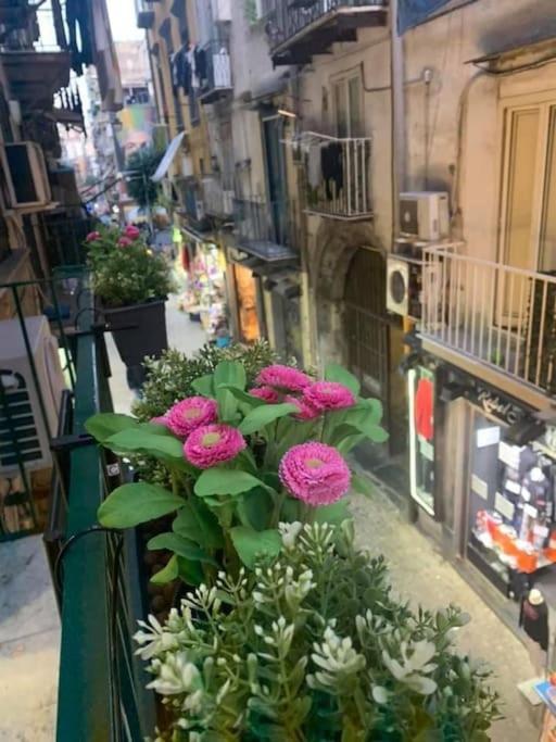 La Casa Di Patta A Spaccanapoli Naples