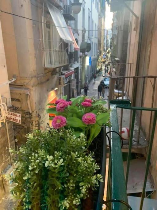 Apartment La Casa Di Patta A Spaccanapoli Naples